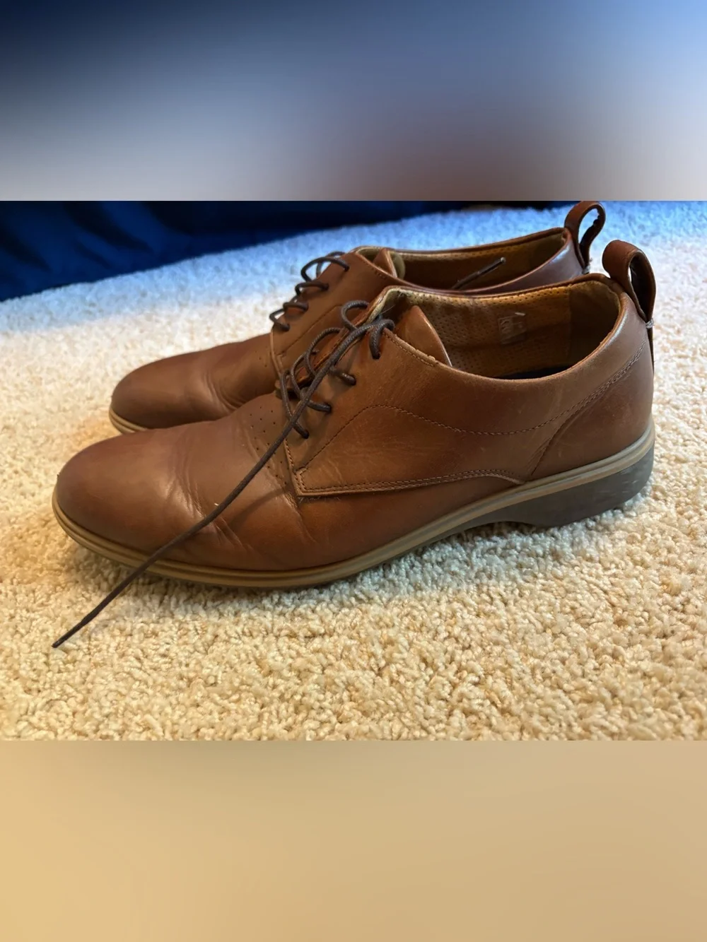Men's Amberjack the Original